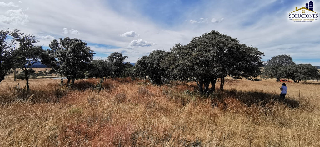 Terreno en Fraccionamiento Ecuestre Nueva Inglaterra