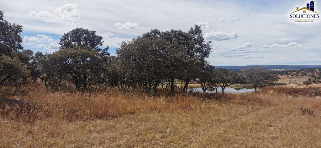Terreno en Fraccionamiento Ecuestre Nueva Inglaterra