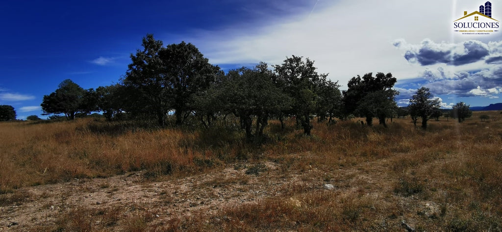 Terreno en Fraccionamiento Ecuestre Nueva Inglaterra