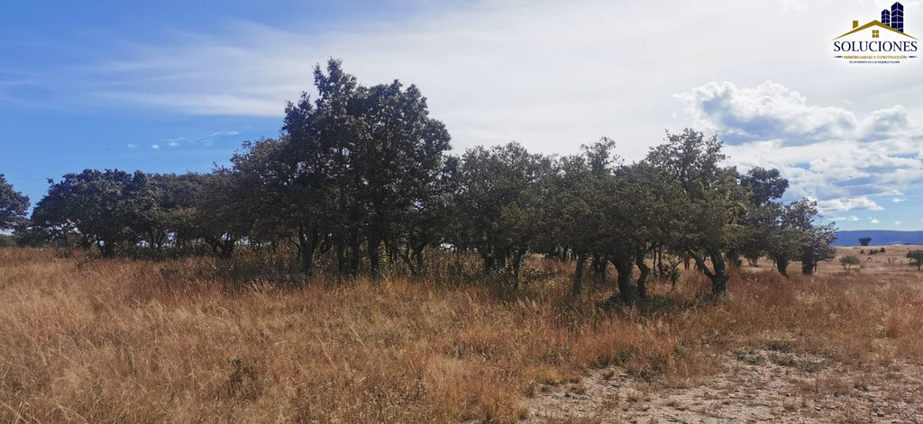 Terreno en Fraccionamiento Ecuestre Nueva Inglaterra