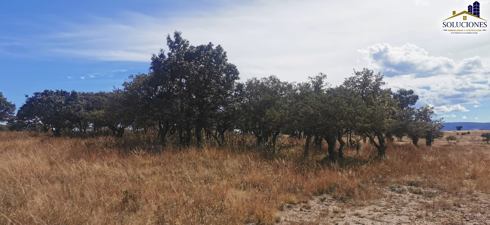 Terreno en Fraccionamiento Ecuestre Nueva Inglaterra