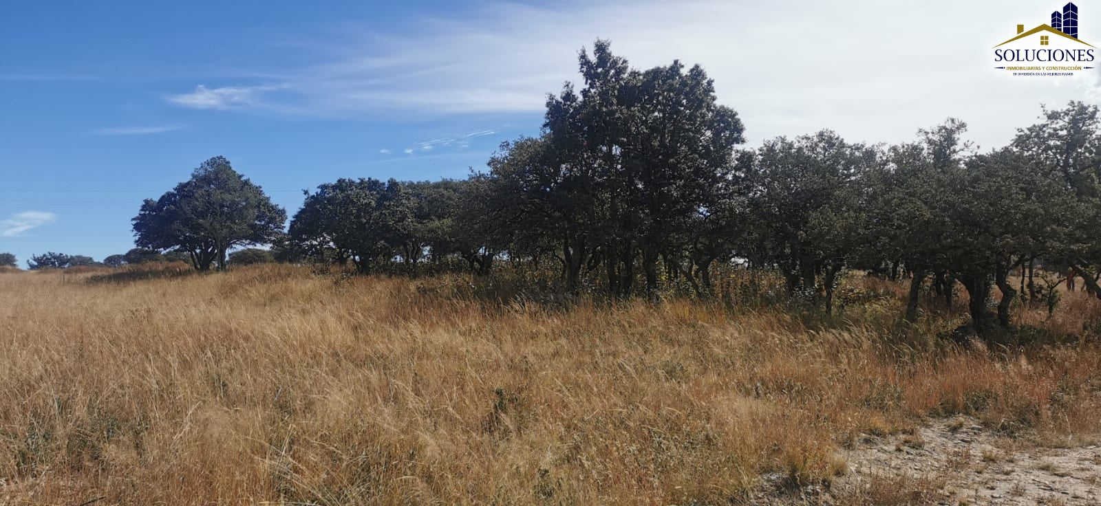 Terreno en Fraccionamiento Ecuestre Nueva Inglaterra