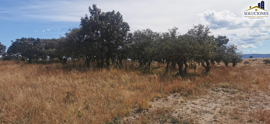 Terreno en Fraccionamiento Ecuestre Nueva Inglaterra