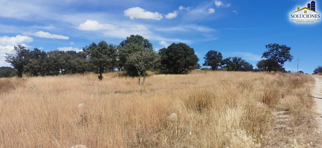 Terreno en Fraccionamiento Ecuestre Nueva Inglaterra
