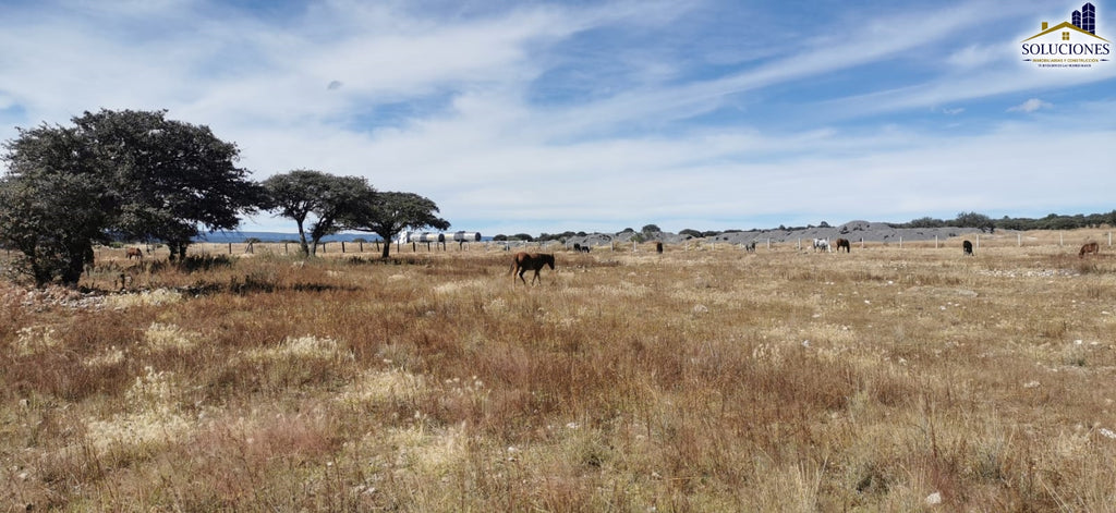 Terreno en venta Fraccionamiento Ecuestre Astilleros