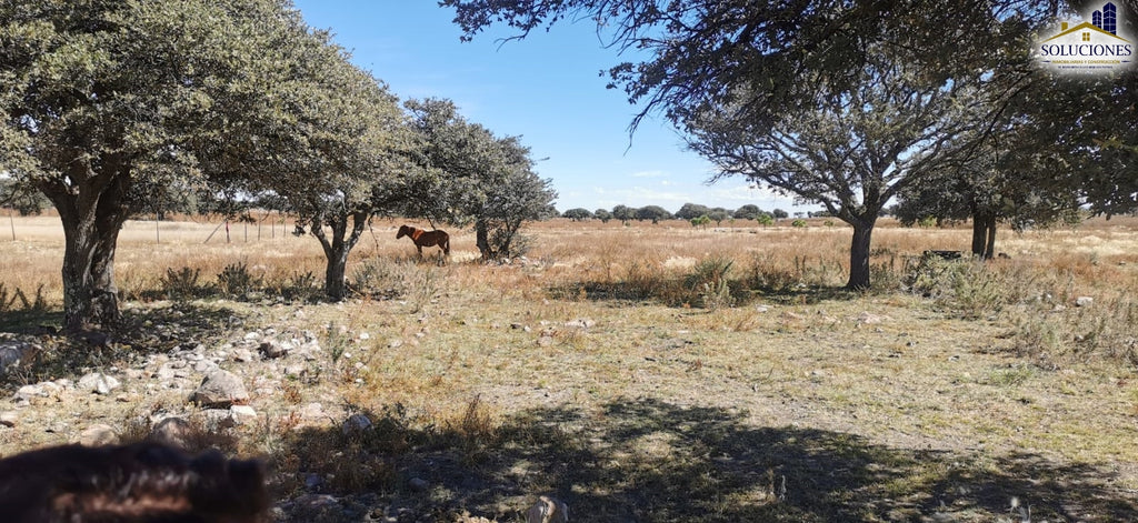 Terreno en venta Fraccionamiento Ecuestre Astilleros
