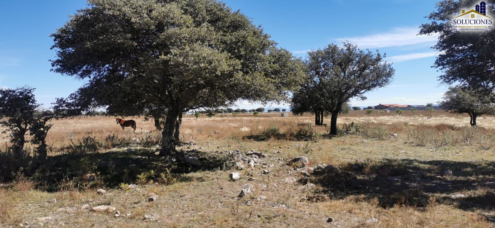 Terreno en venta Fraccionamiento Ecuestre Astilleros