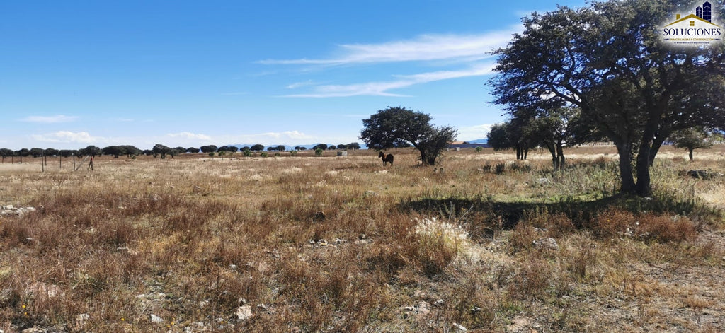 Terreno en venta Fraccionamiento Ecuestre Astilleros