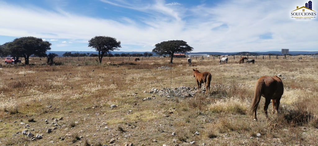 Terreno en venta Fraccionamiento Ecuestre Astilleros