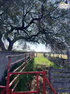 Rancho en Poblado Labor de Guadalupe